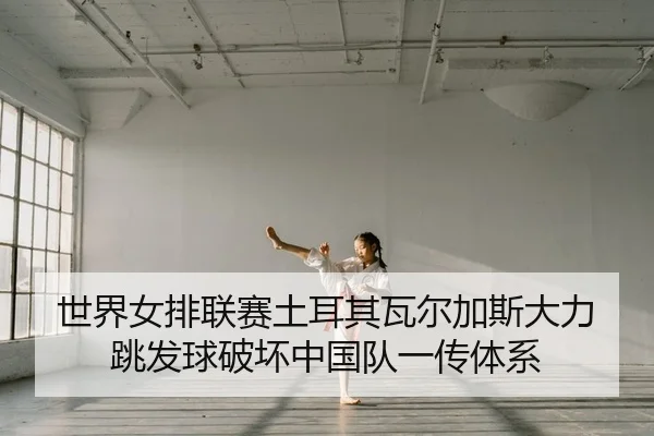 shi-jie-nv-pai-lian-sai-tu-er-qi-wa-er-jia-si-da-li-tiao-fa-qiu-po-huai-zhong-guo-dui-yi-chuan-ti-xi-2-476.jpg